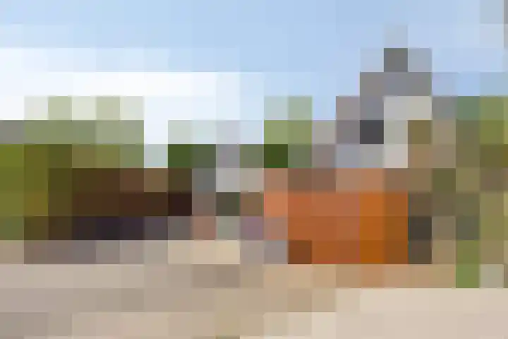 Perenlaan 4 Kortgene thumbnail 8