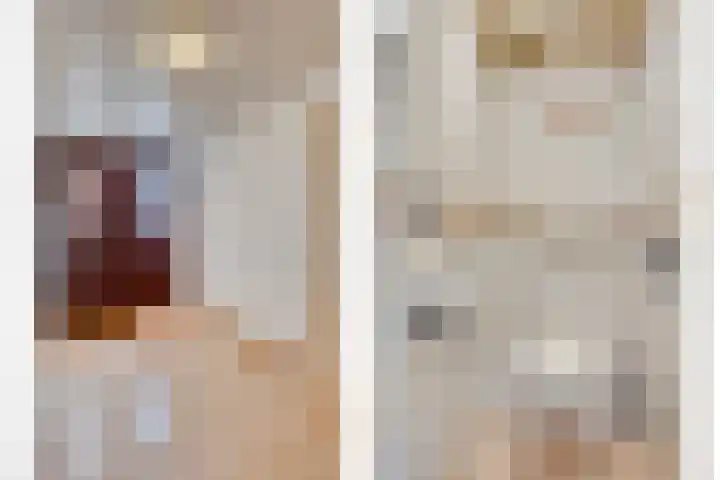 Perenlaan 4 Kortgene thumbnail 9