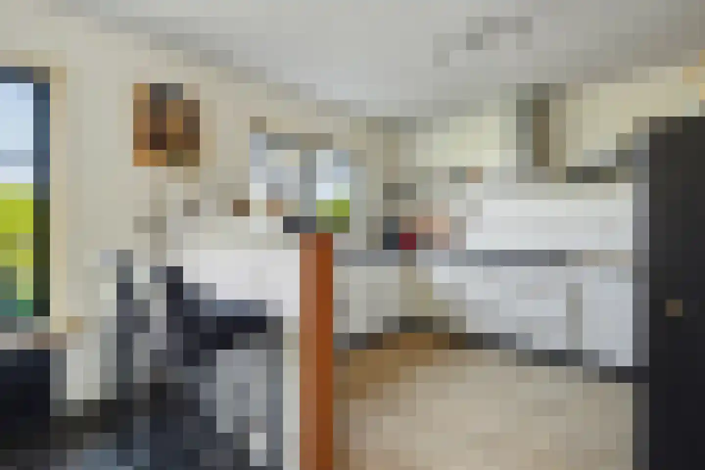 Perenlaan 5 Kortgene thumbnail 18