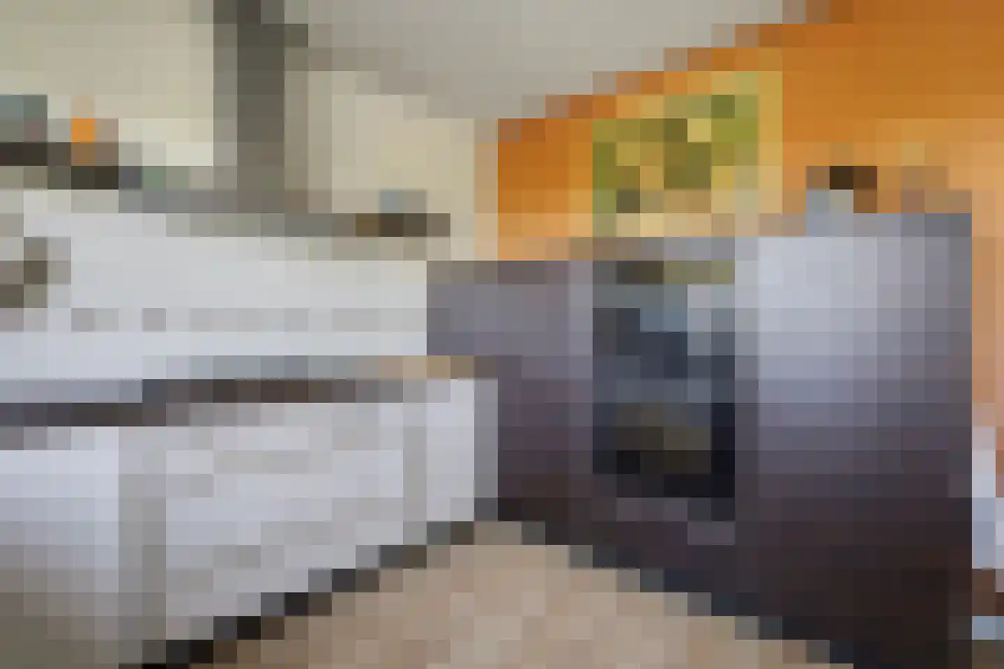 Perenlaan 5 Kortgene thumbnail 20