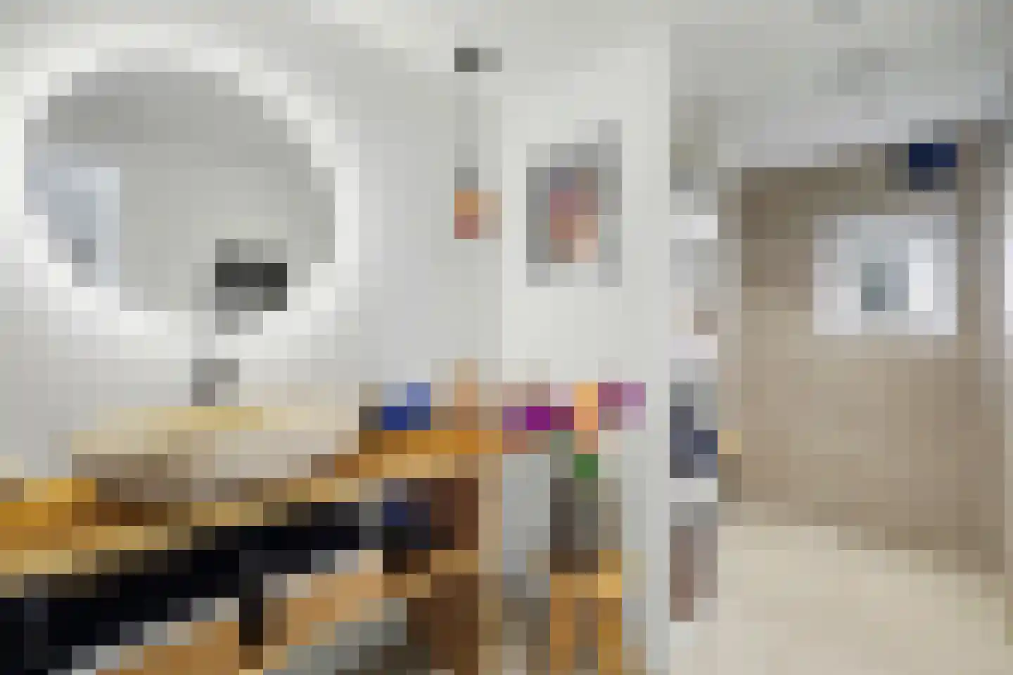 Perenlaan 5 Kortgene thumbnail 24