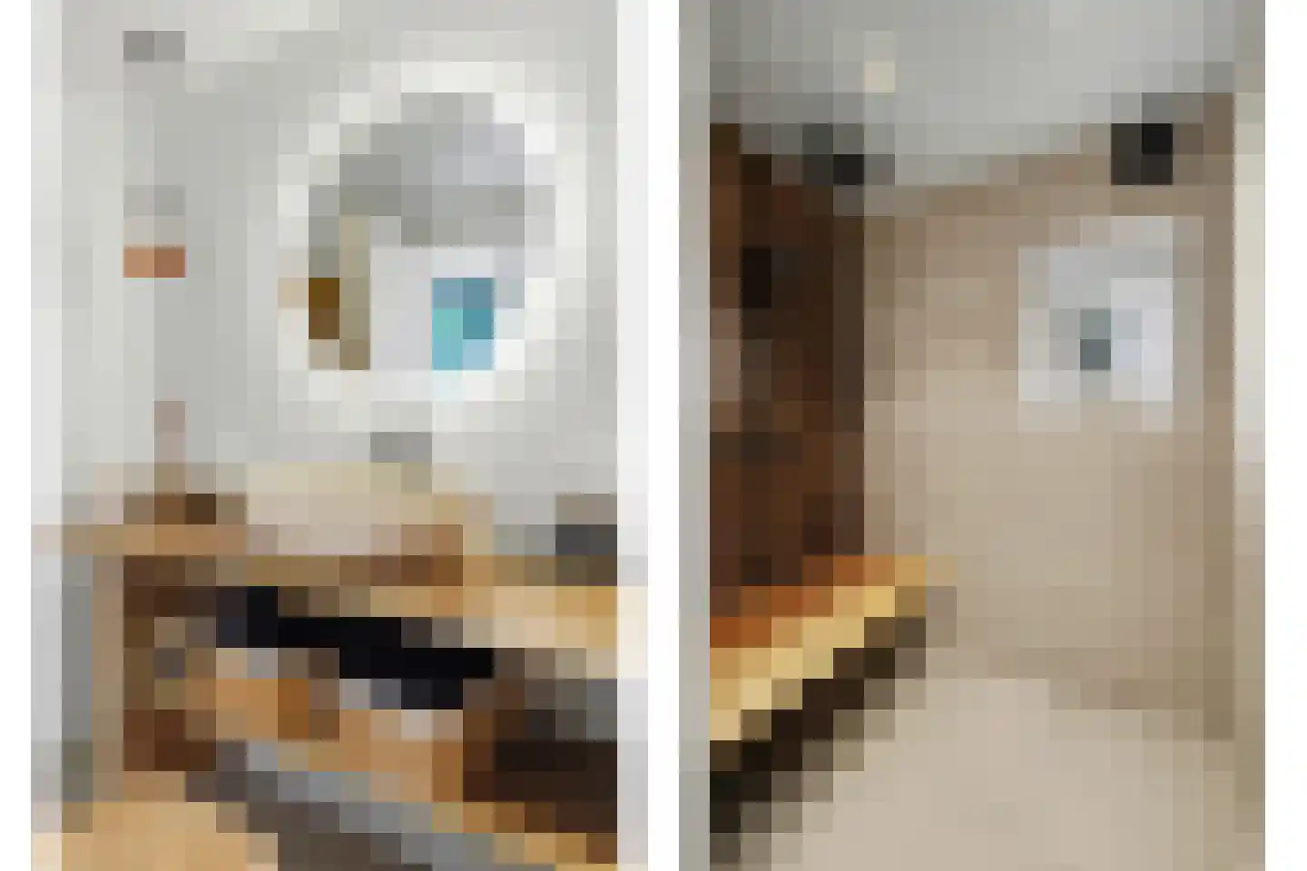Perenlaan 5 Kortgene thumbnail 25