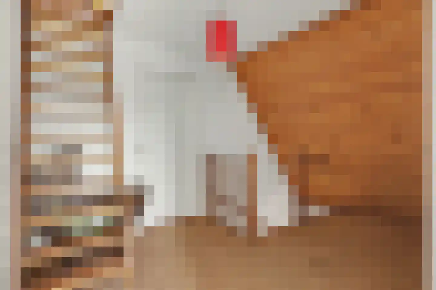 Perenlaan 5 Kortgene thumbnail 28