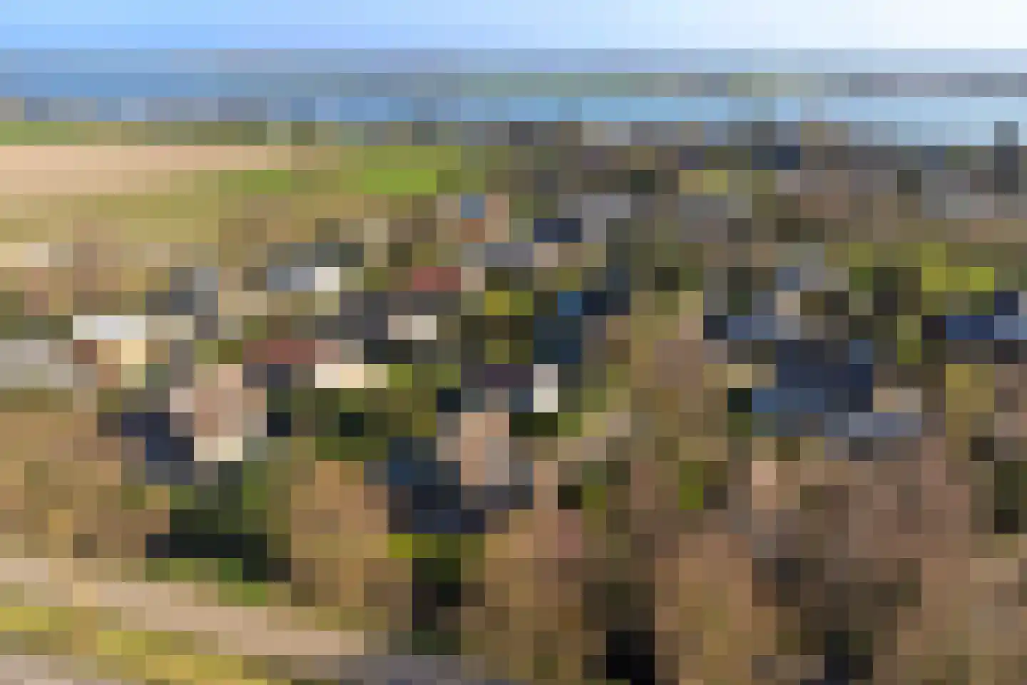 Perenlaan 5 Kortgene foto 3
