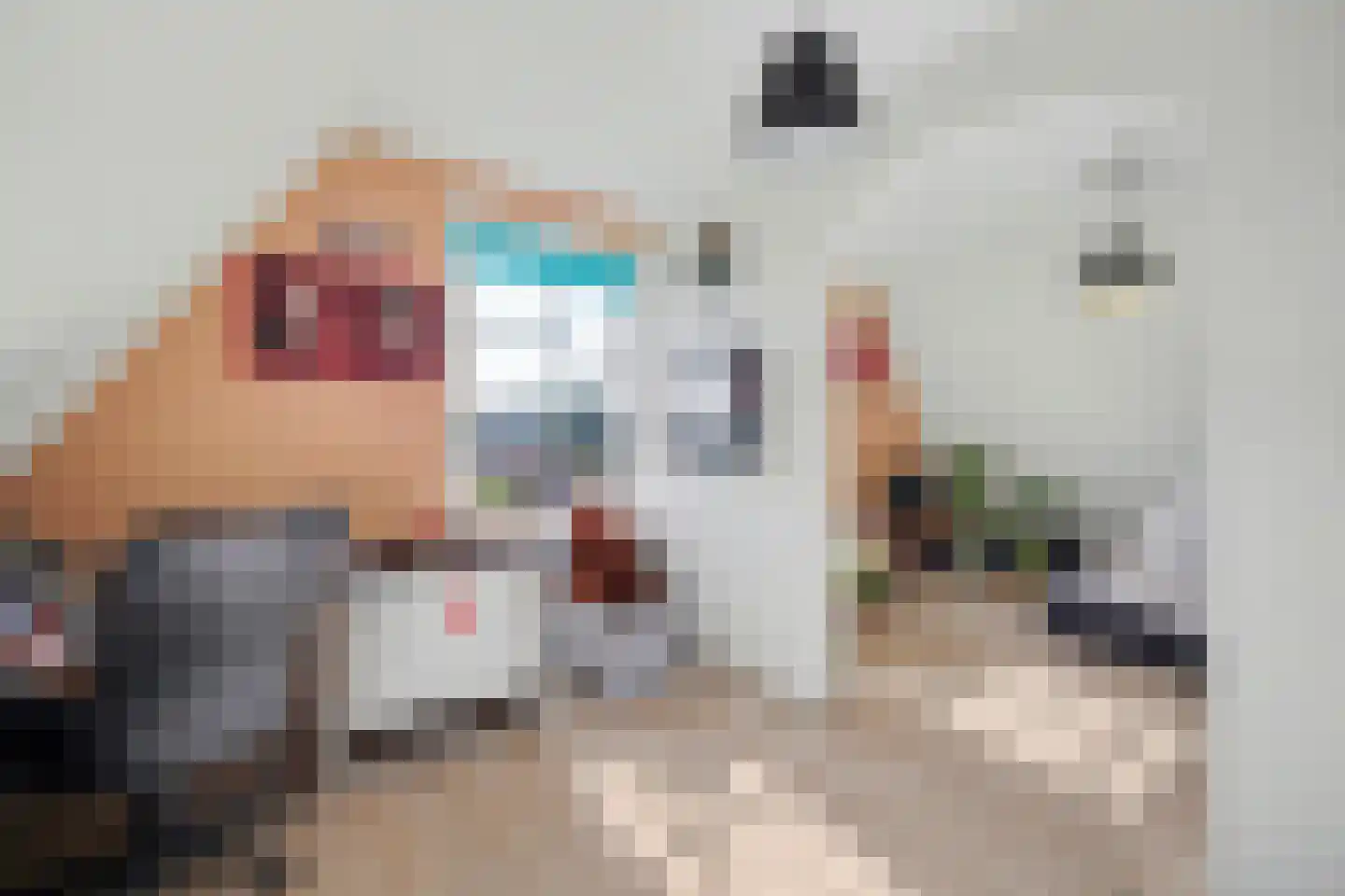 Perenlaan 5 Kortgene thumbnail 31