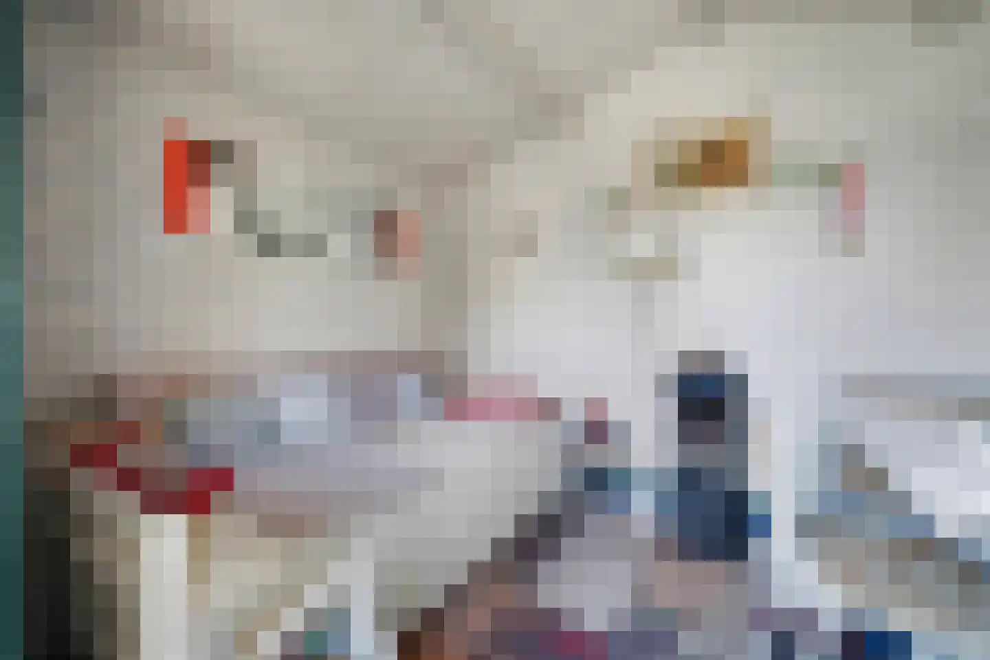 Perenlaan 5 Kortgene thumbnail 39