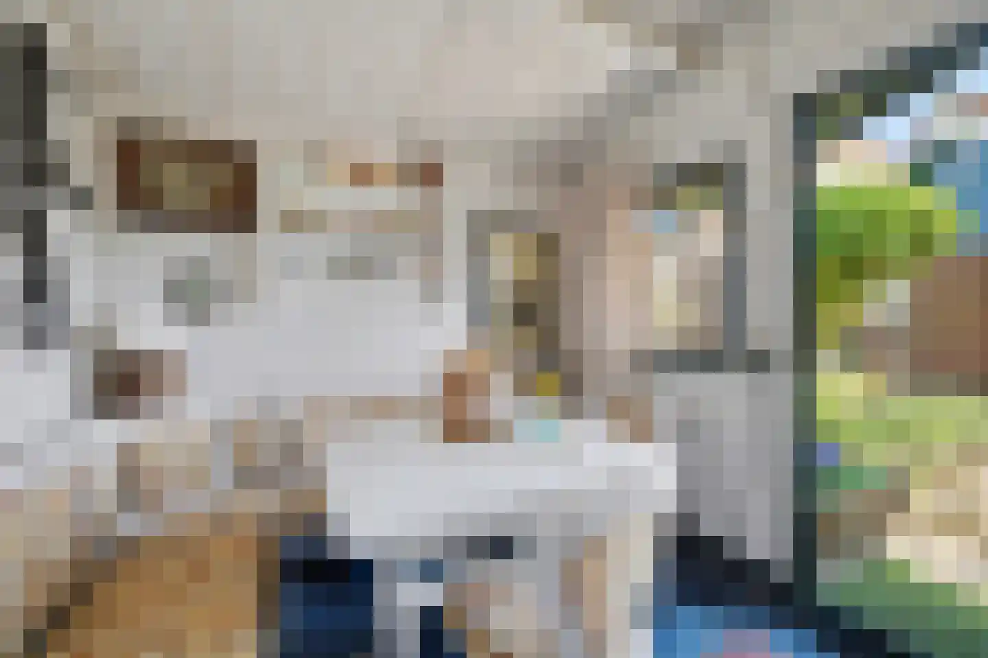 Perenlaan 5 Kortgene thumbnail 40