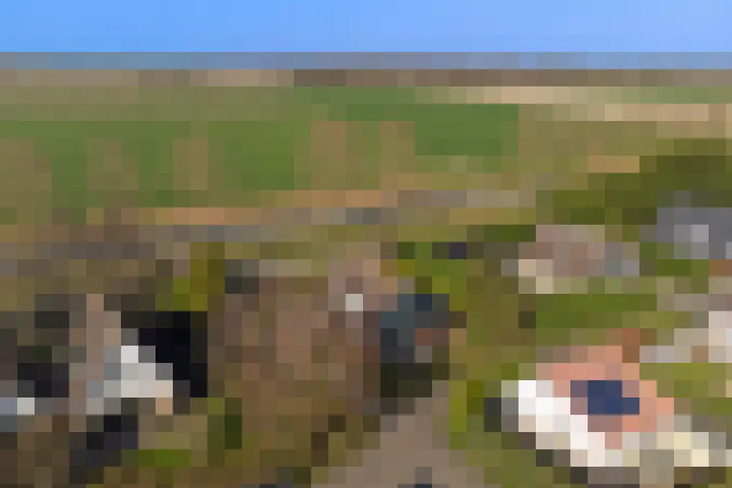 Perenlaan 5 Kortgene thumbnail 46