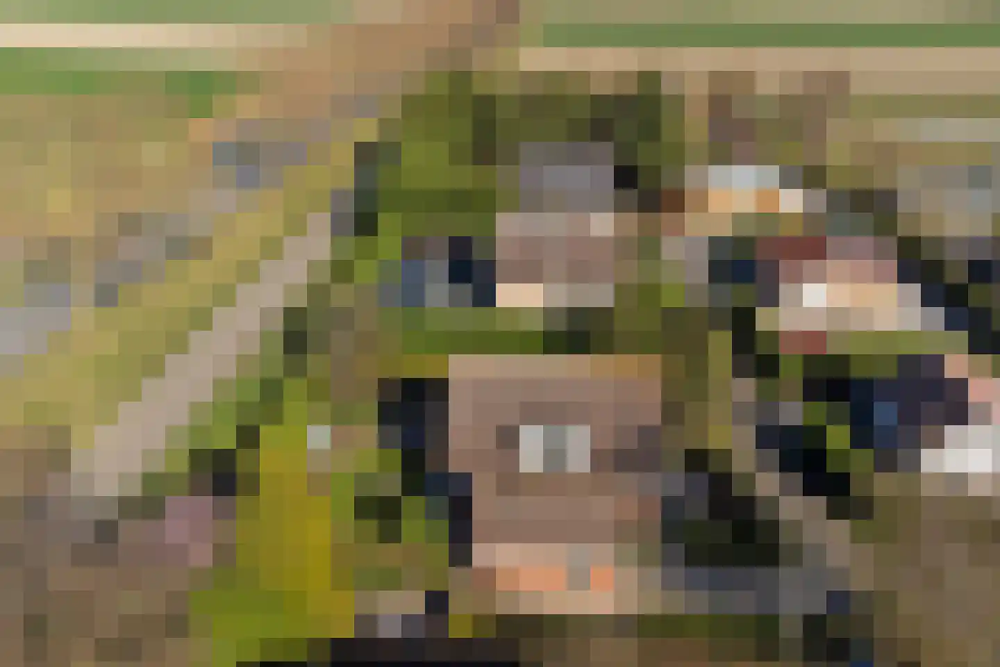 Perenlaan 5 Kortgene thumbnail 47