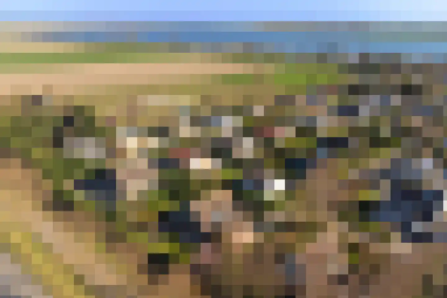 Perenlaan 5 Kortgene thumbnail 49