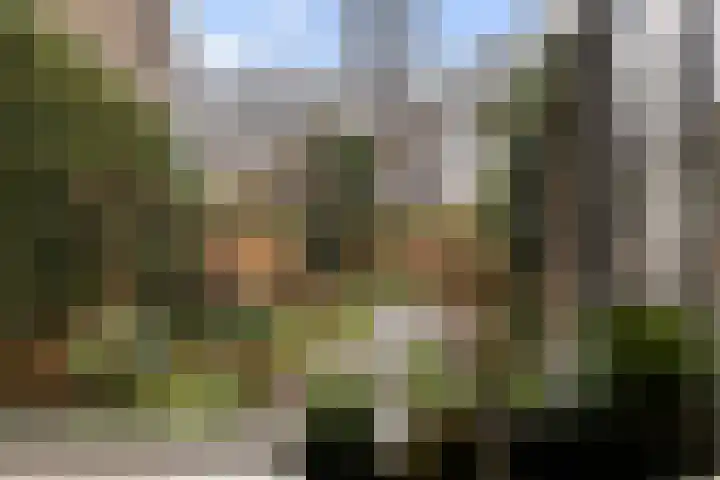 Perenlaan 6 Bilthoven thumbnail 15