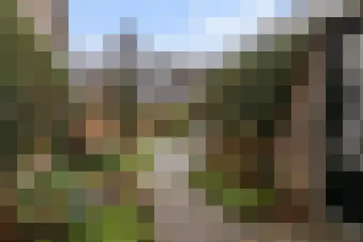 Perenlaan 6 Bilthoven thumbnail 16