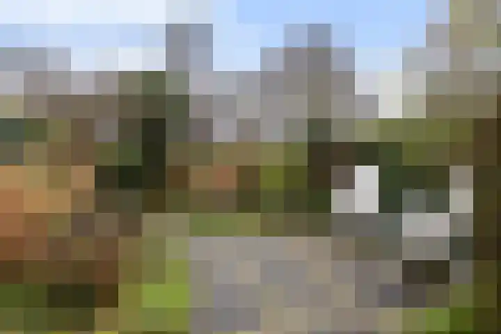 Perenlaan 6 Bilthoven thumbnail 17