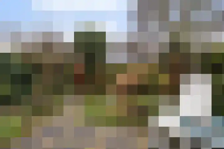 Perenlaan 6 Bilthoven thumbnail 18