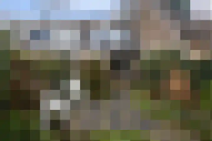Perenlaan 6 Bilthoven thumbnail 19