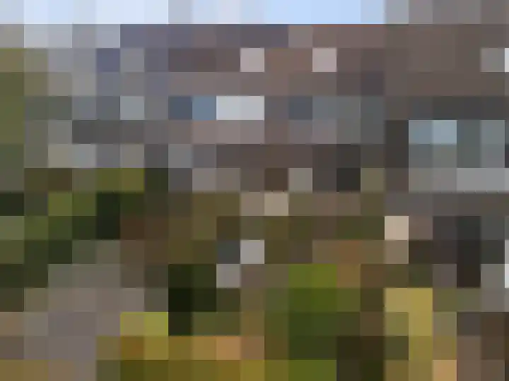 Perenlaan 6 Bilthoven thumbnail 21