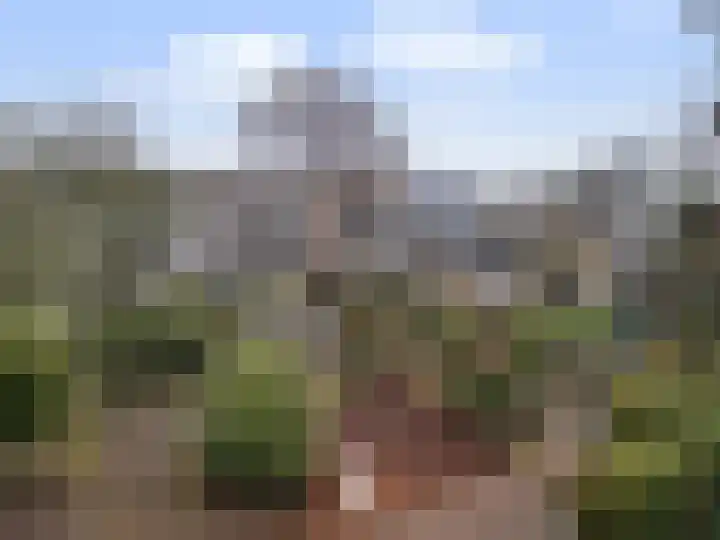 Perenlaan 6 Bilthoven thumbnail 23