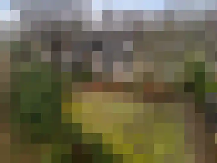 Perenlaan 6 Bilthoven thumbnail 34