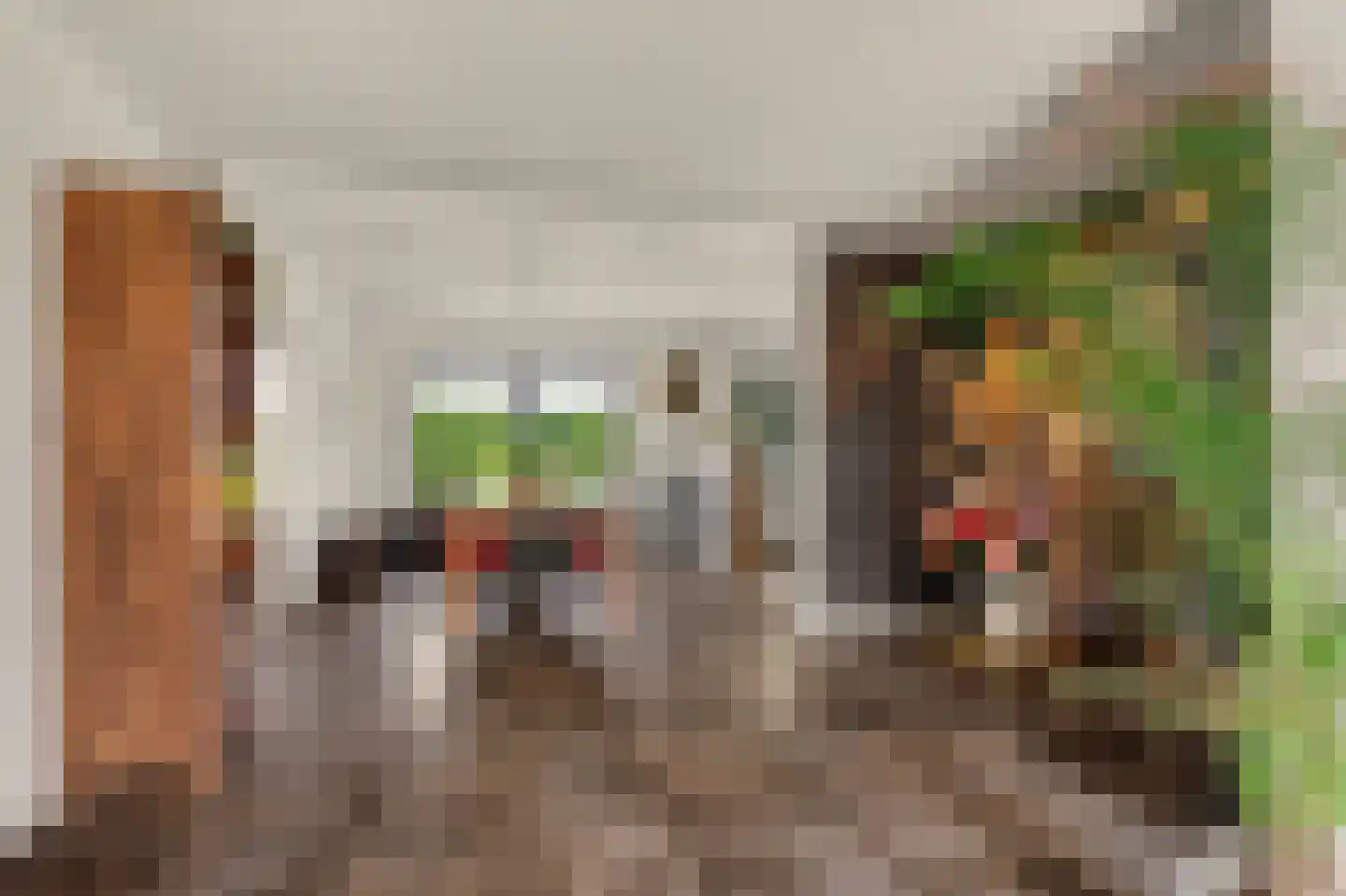 Perenlaan 6 Kortgene thumbnail 13