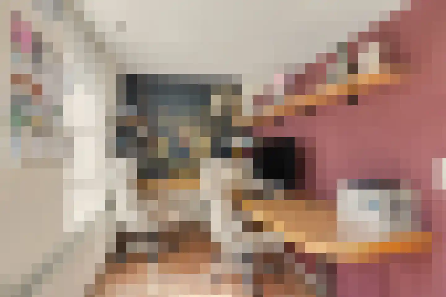Perenlaan 6 Kortgene thumbnail 19