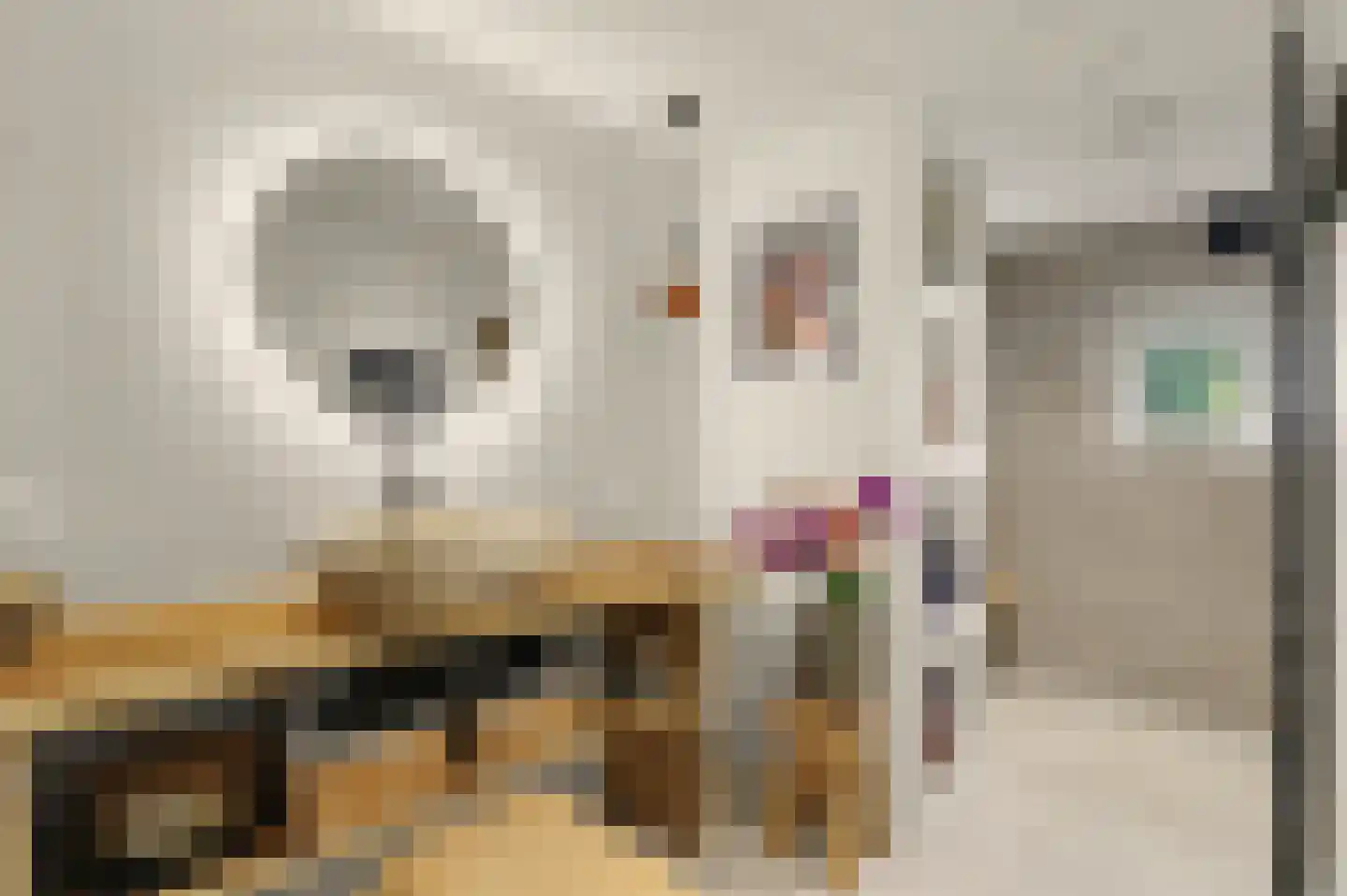 Perenlaan 6 Kortgene thumbnail 27