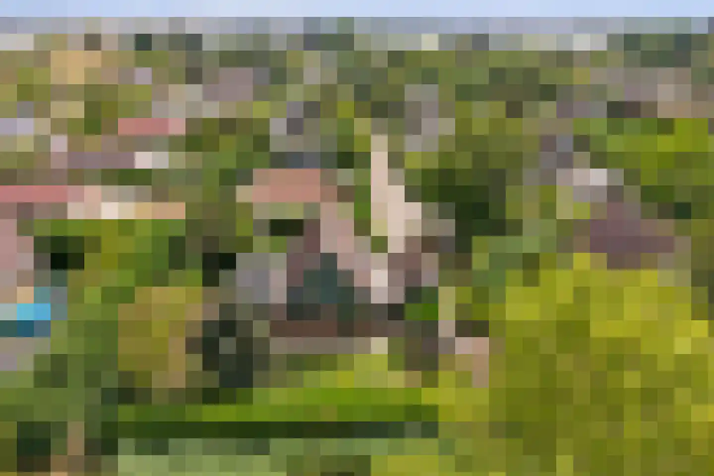 Perenlaan 6 Kortgene foto 3