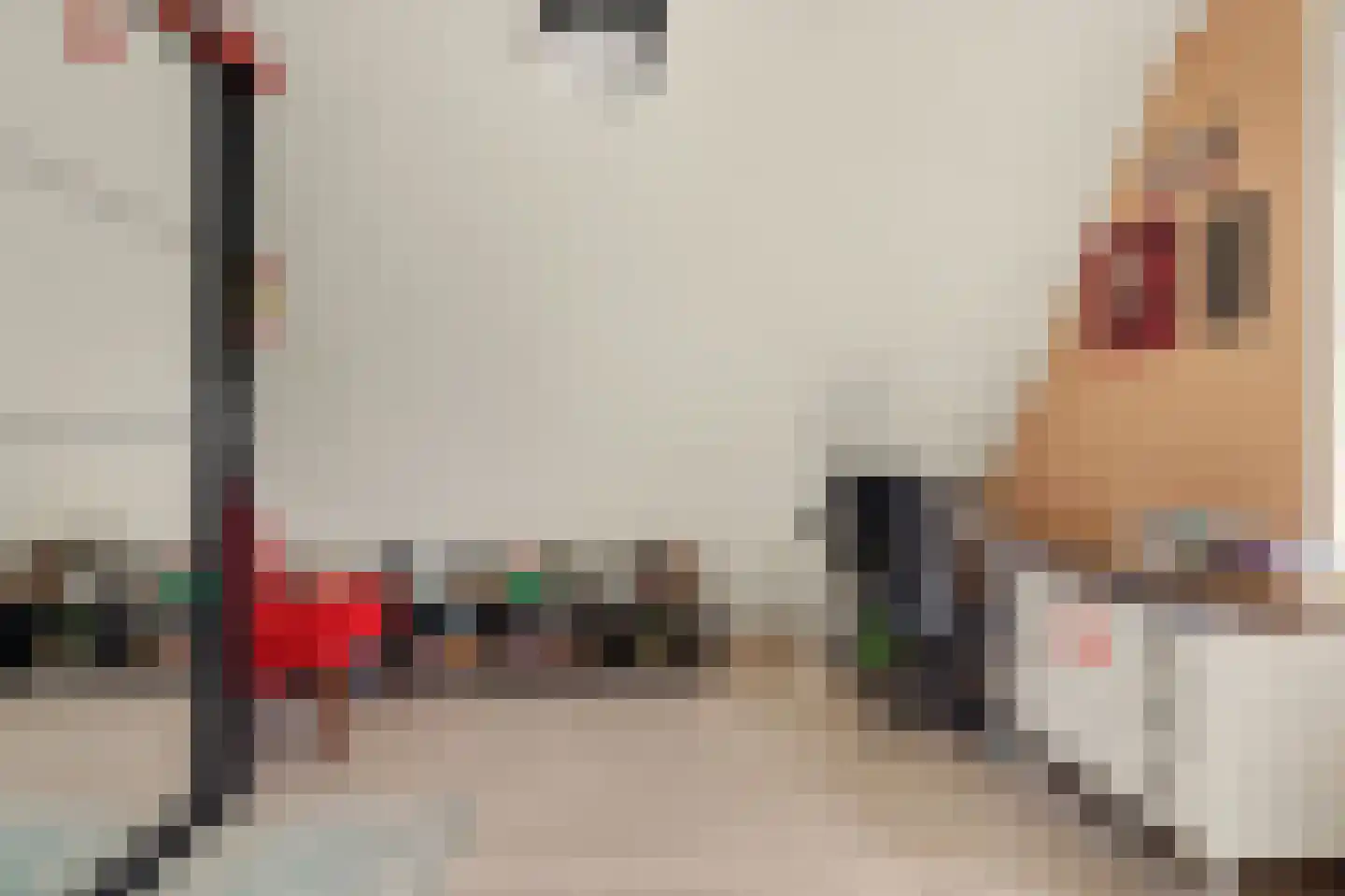 Perenlaan 6 Kortgene thumbnail 34