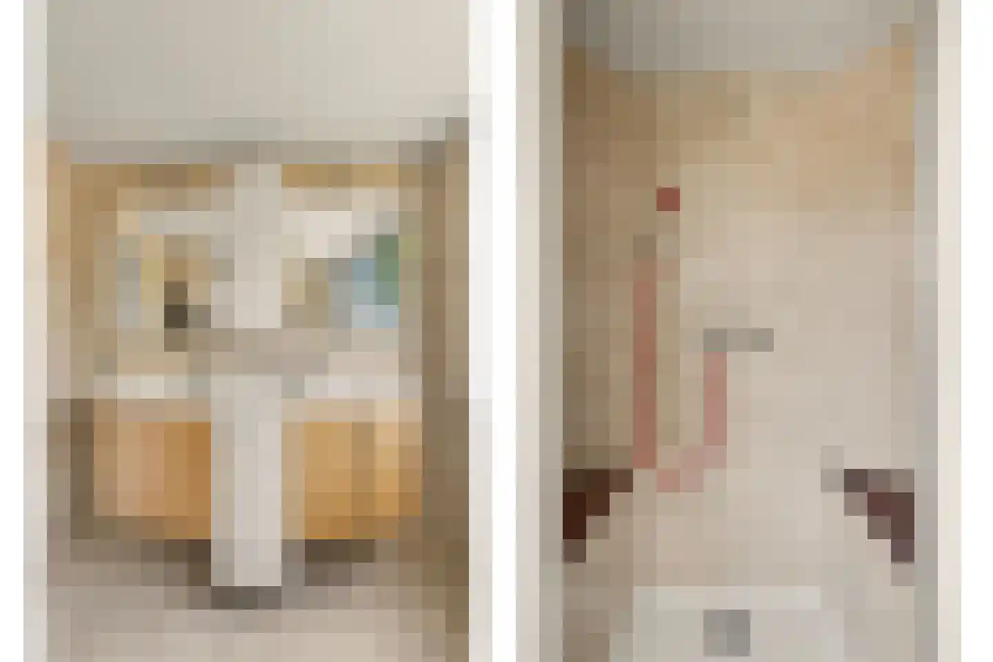 Perenlaan 6 Kortgene thumbnail 45