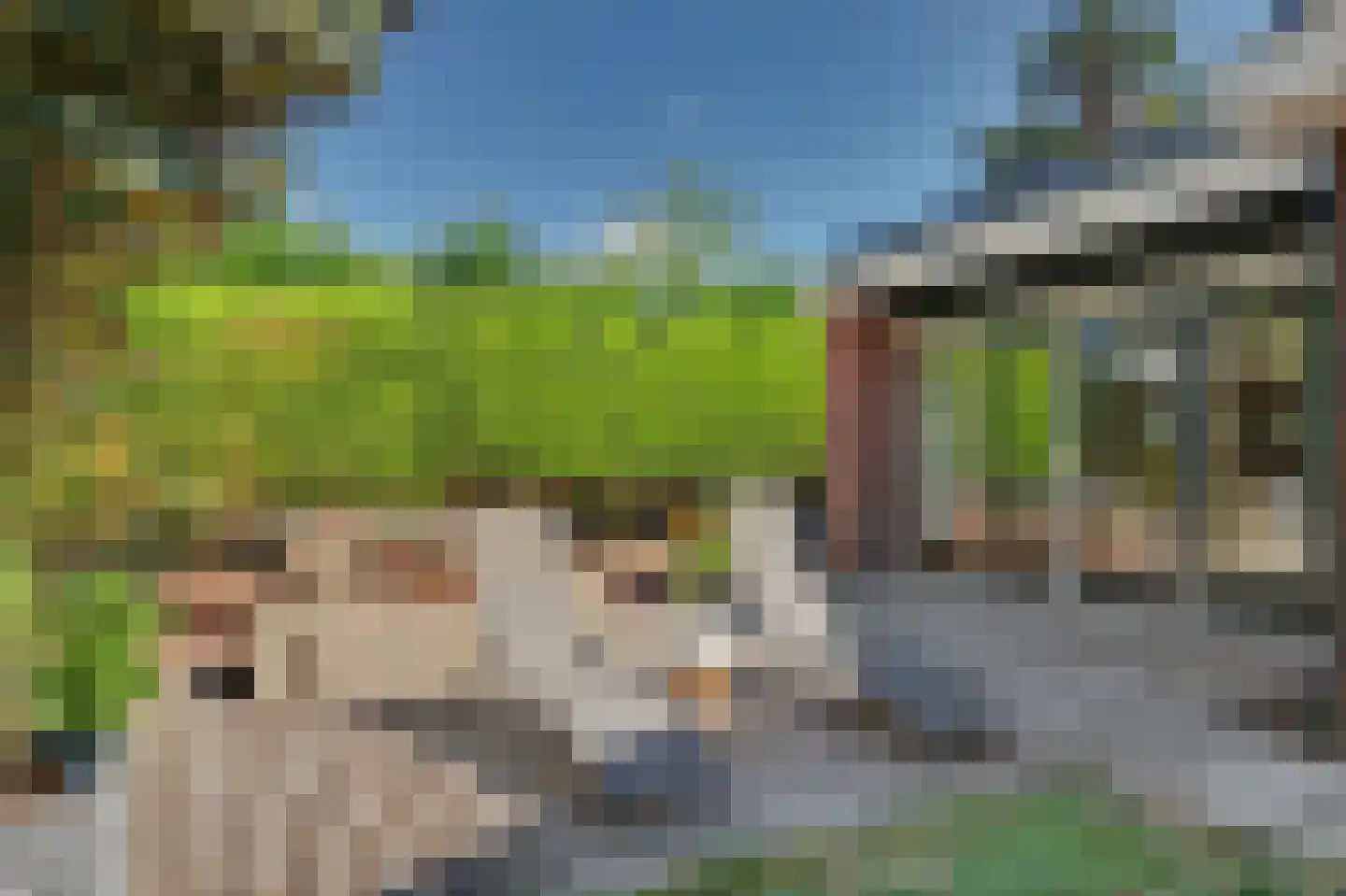 Perenlaan 6 Kortgene thumbnail 52