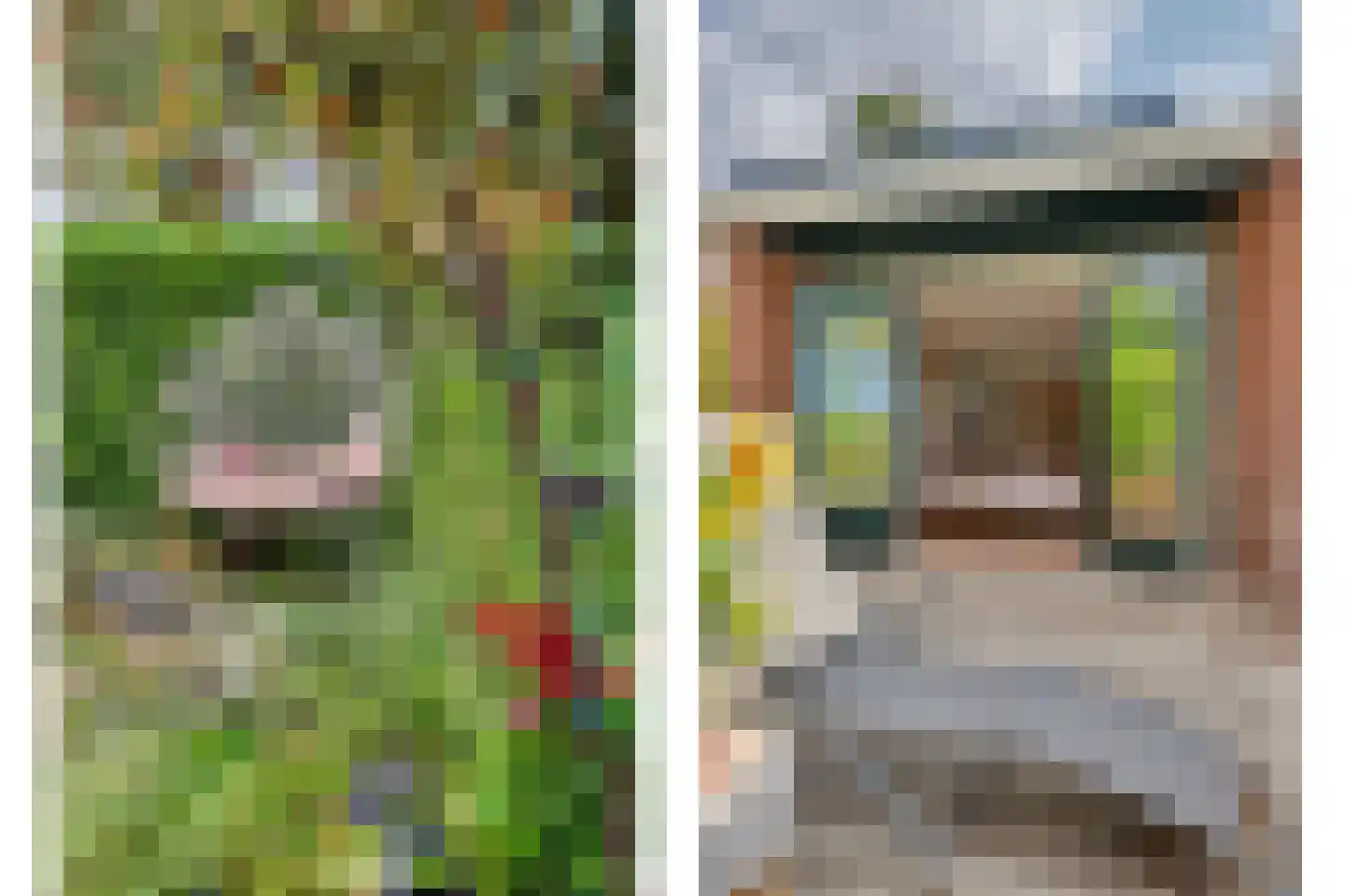 Perenlaan 6 Kortgene thumbnail 54