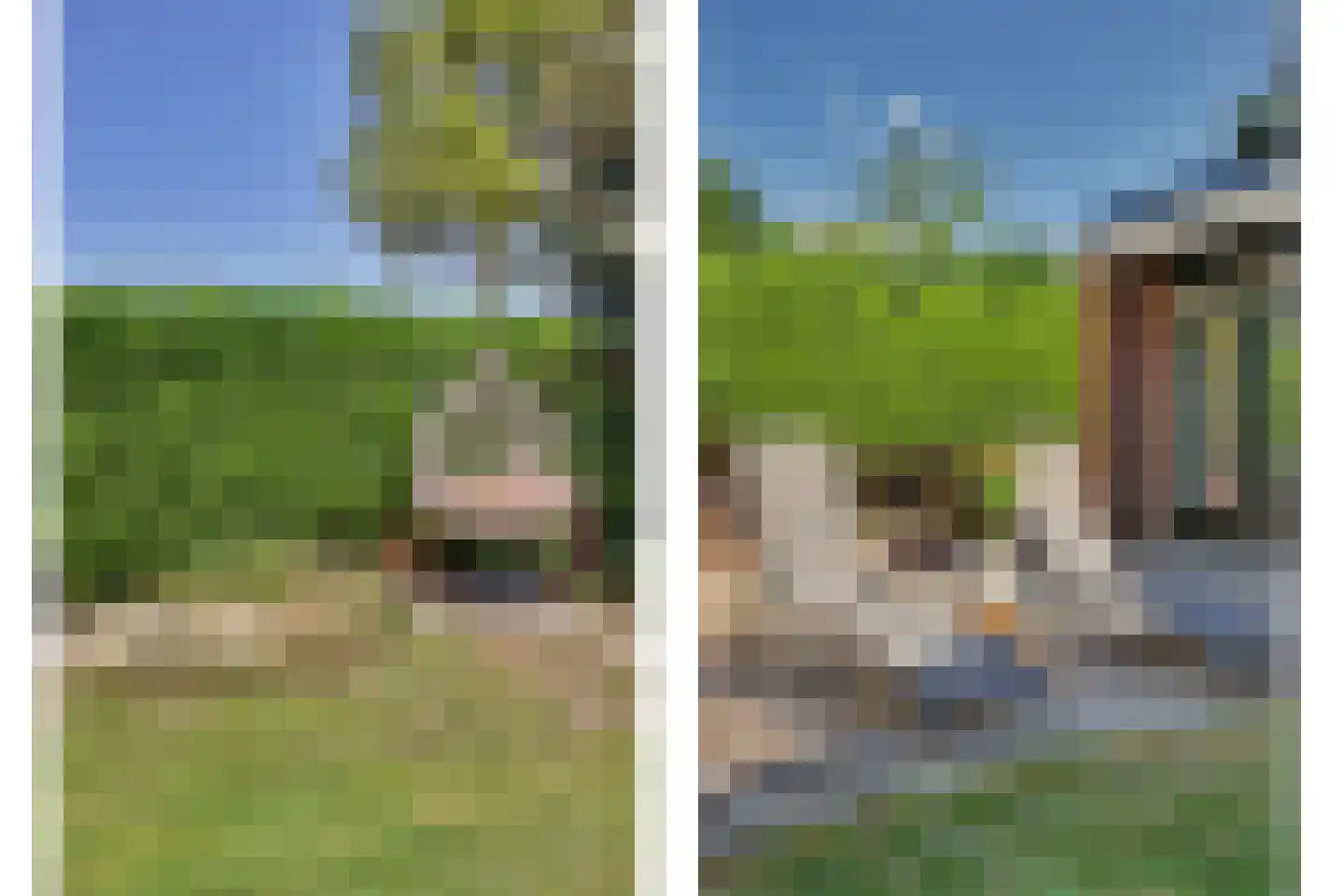 Perenlaan 6 Kortgene thumbnail 55