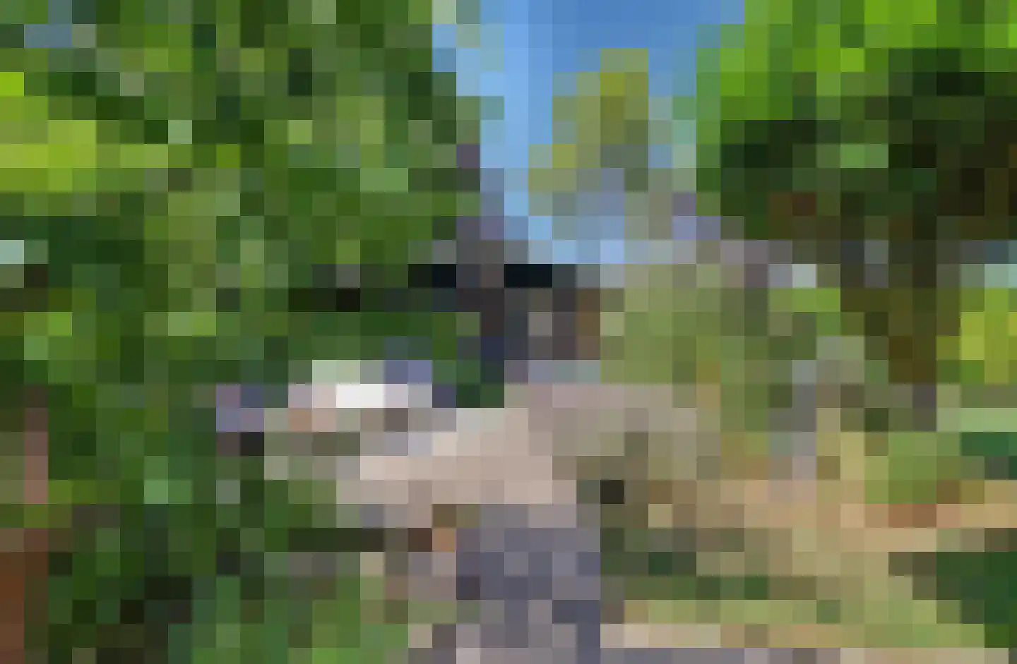 Perenlaan 6 Kortgene thumbnail 56
