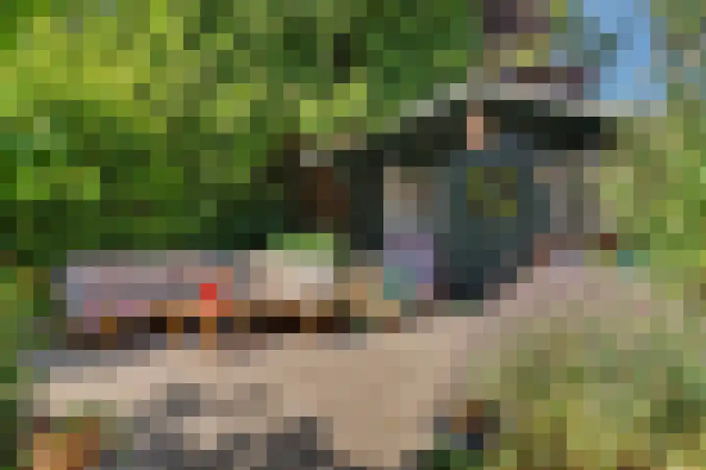 Perenlaan 6 Kortgene thumbnail 57