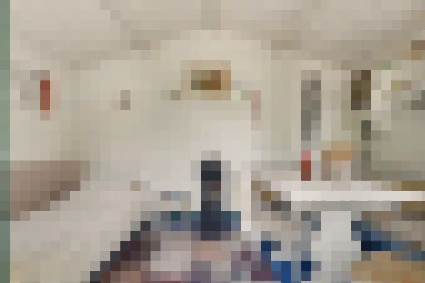 Perenlaan 6 Kortgene thumbnail 60