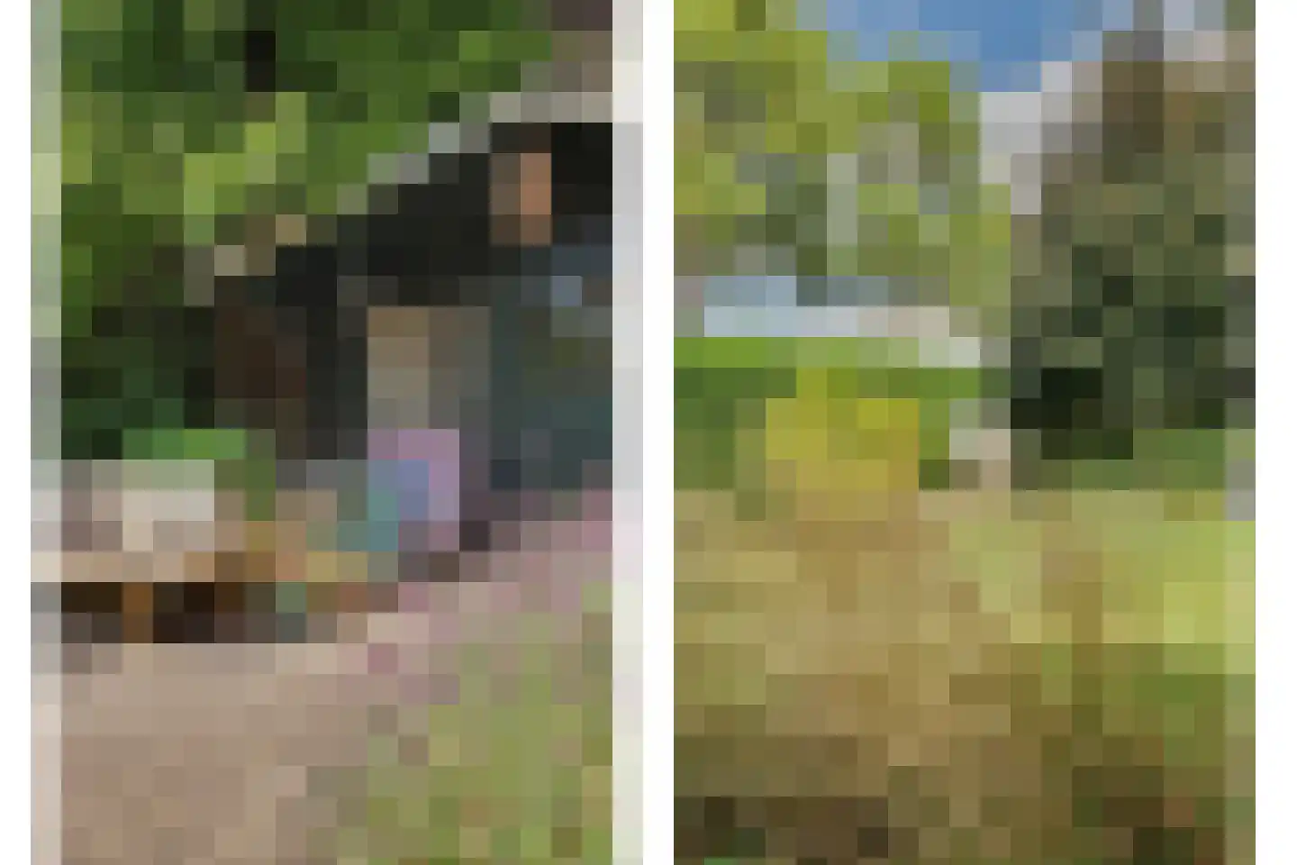Perenlaan 6 Kortgene thumbnail 61
