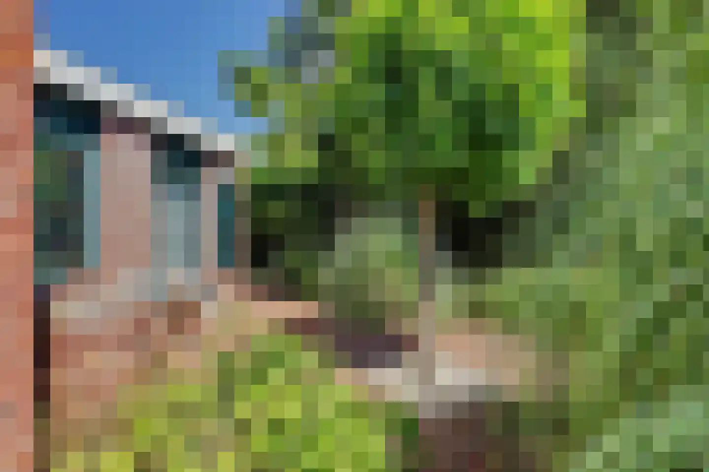 Perenlaan 6 Kortgene thumbnail 63