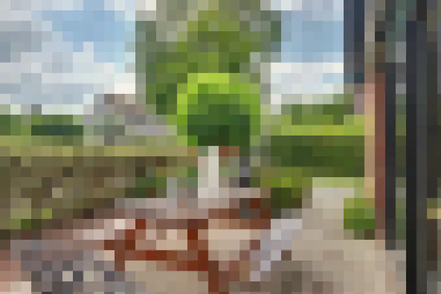 Perenlaan 6 Kortgene thumbnail 65