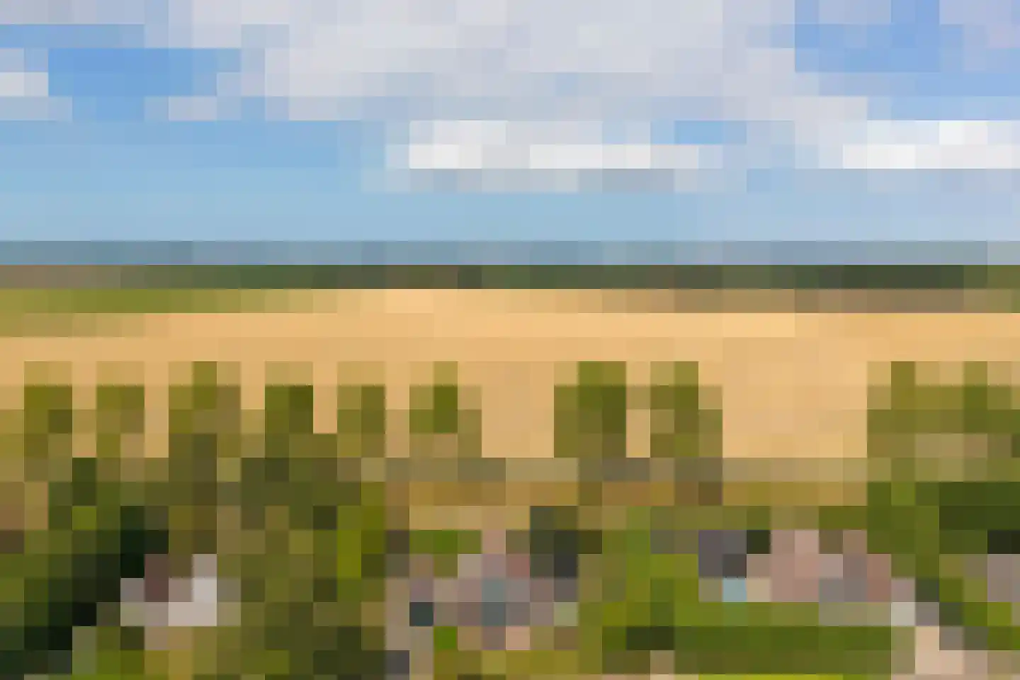 Perenlaan 6 Kortgene thumbnail 70