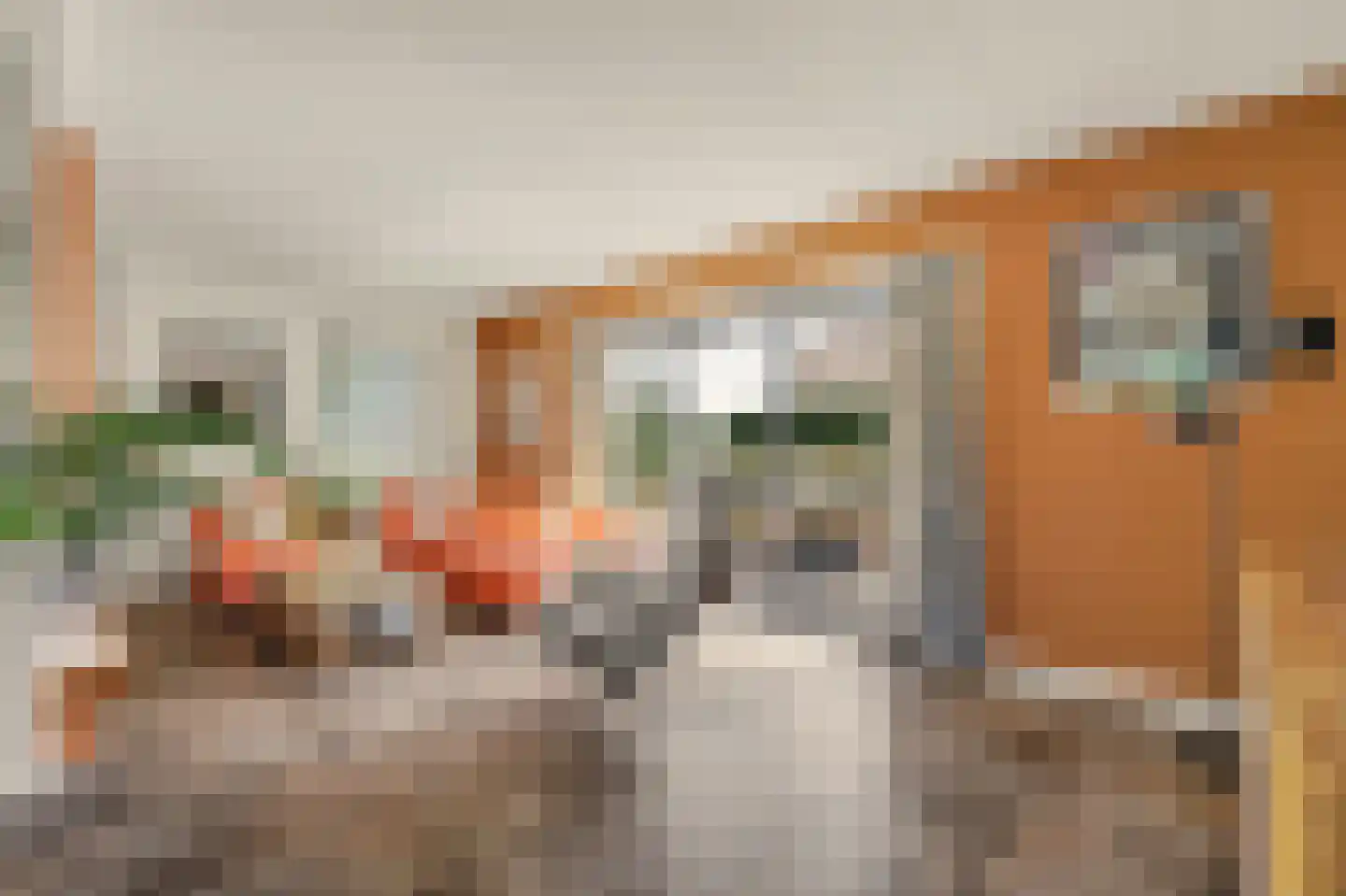 Perenlaan 6 Kortgene thumbnail 9