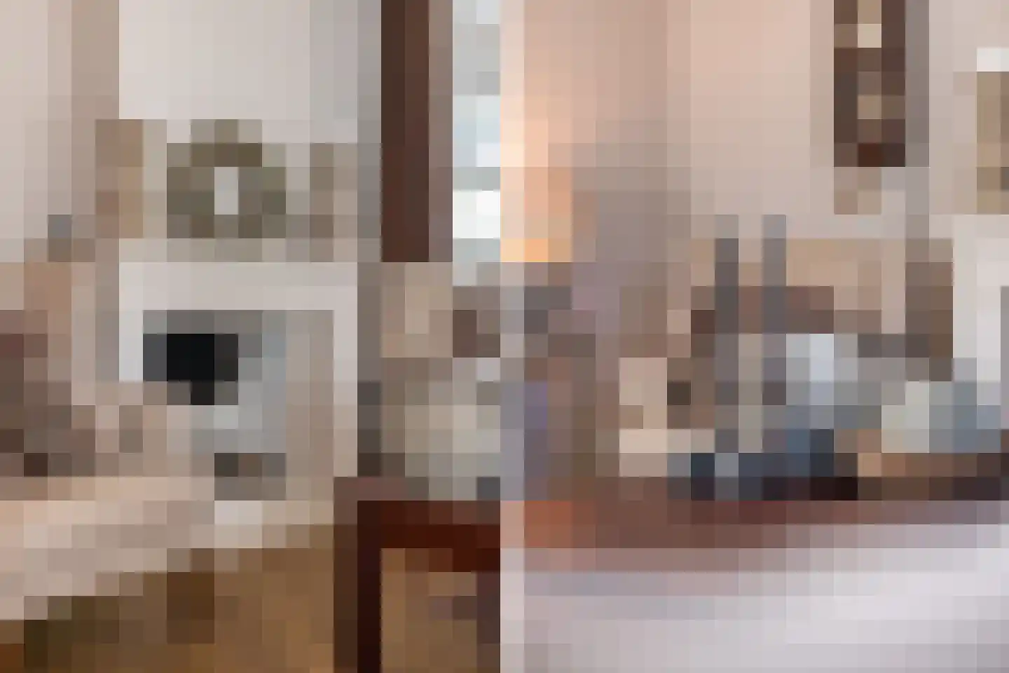 Perenlaantje 10 Hendrik-Ido-Ambacht thumbnail 12