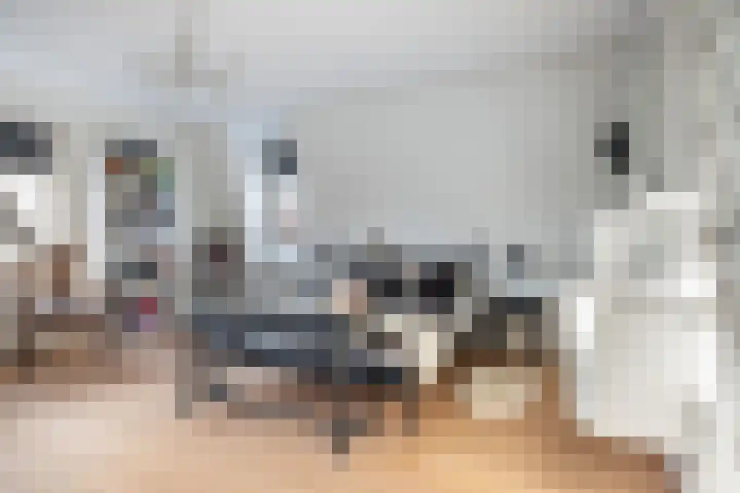 Perenlaantje 10 Hendrik-Ido-Ambacht thumbnail 27