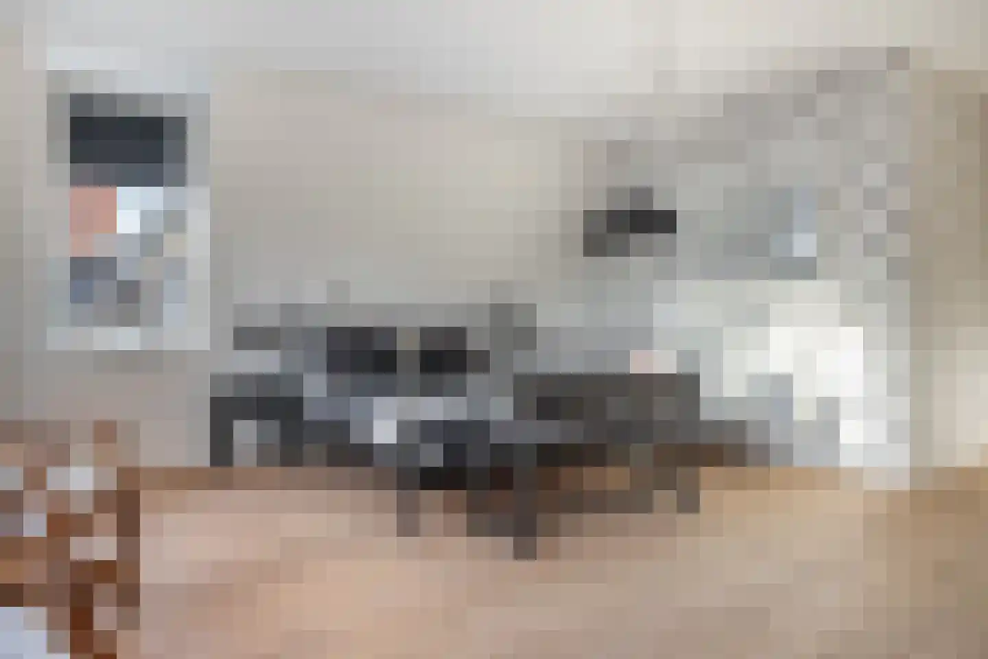 Perenlaantje 10 Hendrik-Ido-Ambacht thumbnail 28