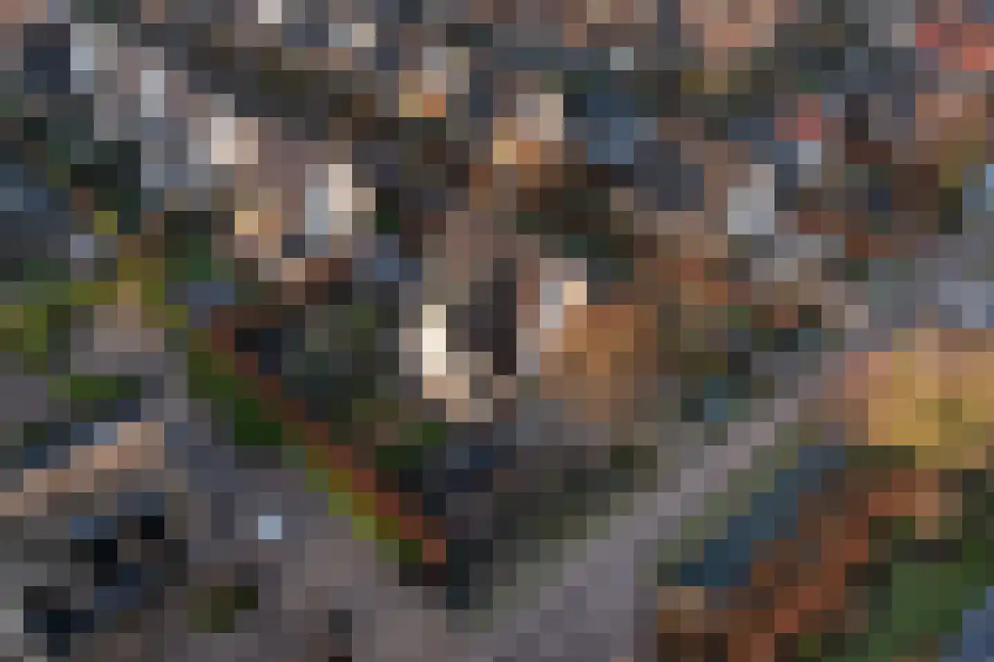 Perenlaantje 10 Hendrik-Ido-Ambacht thumbnail 4
