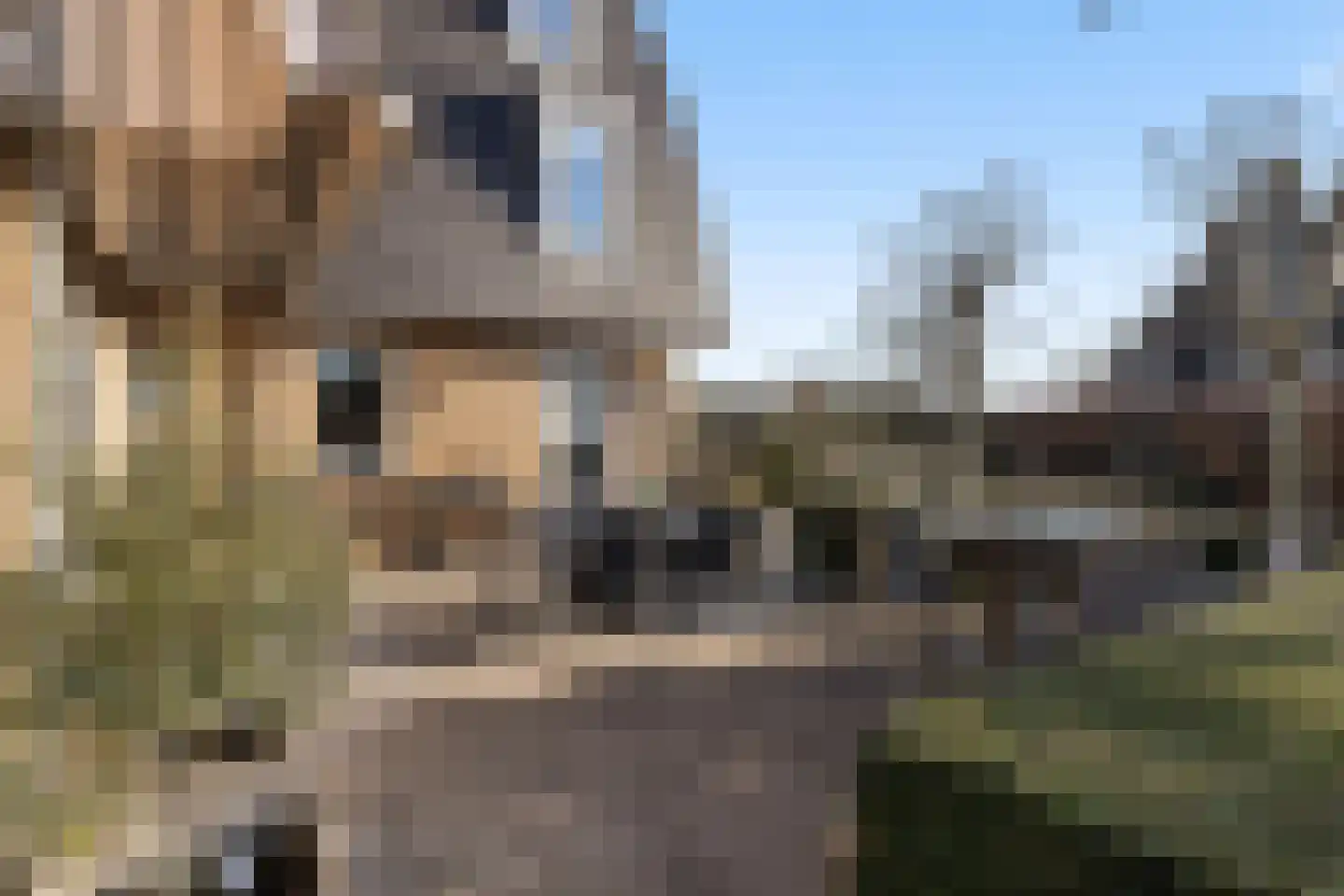 Perenlaantje 10 Hendrik-Ido-Ambacht thumbnail 47