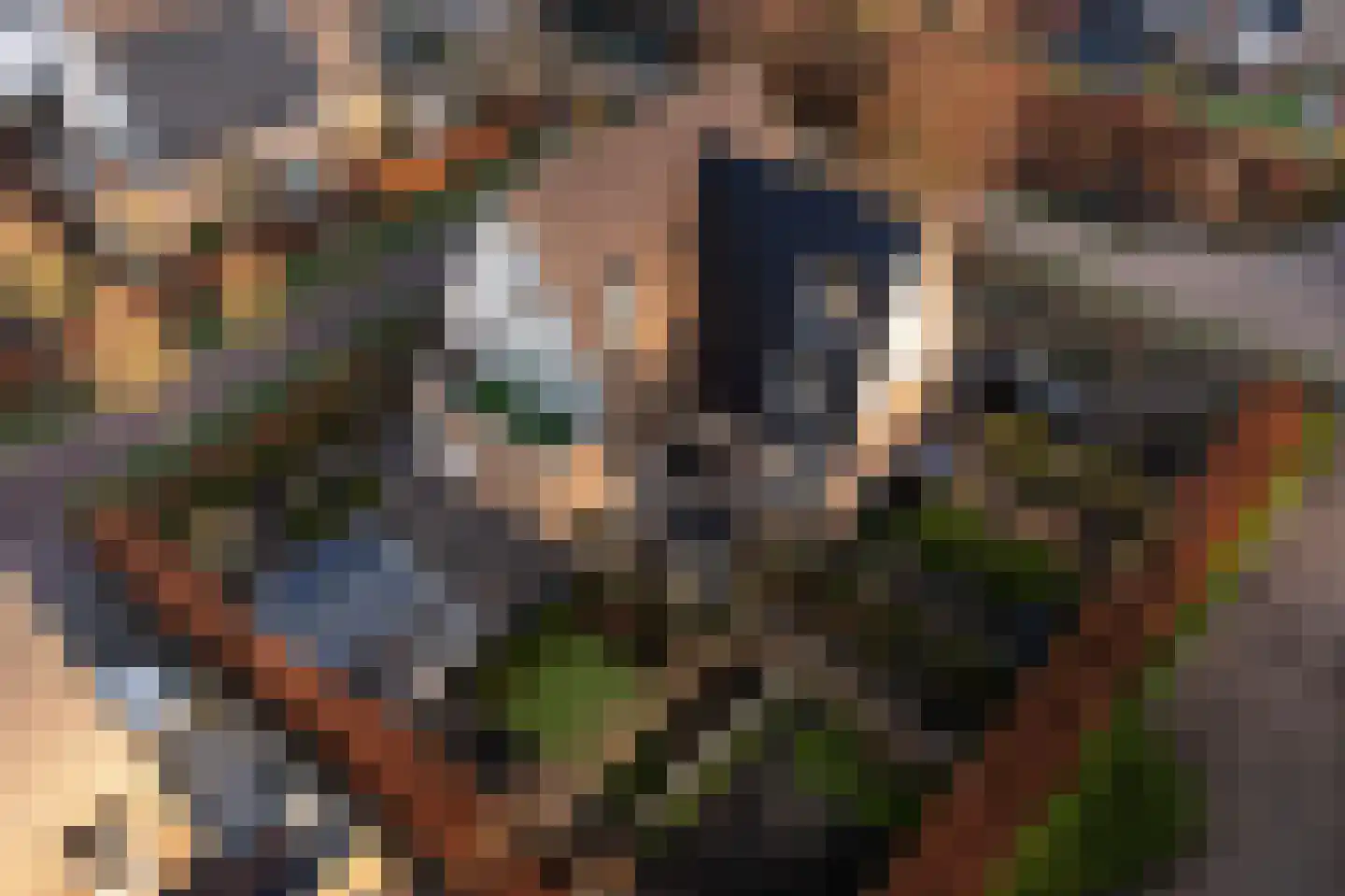 Perenlaantje 10 Hendrik-Ido-Ambacht thumbnail 5