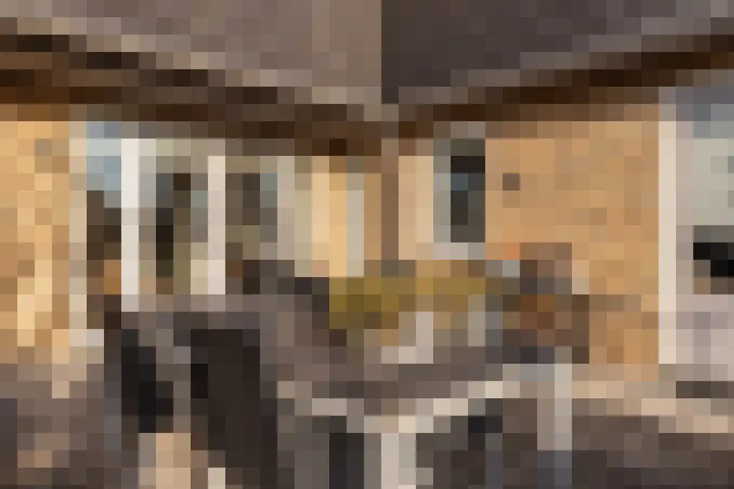 Perenlaantje 10 Hendrik-Ido-Ambacht thumbnail 51