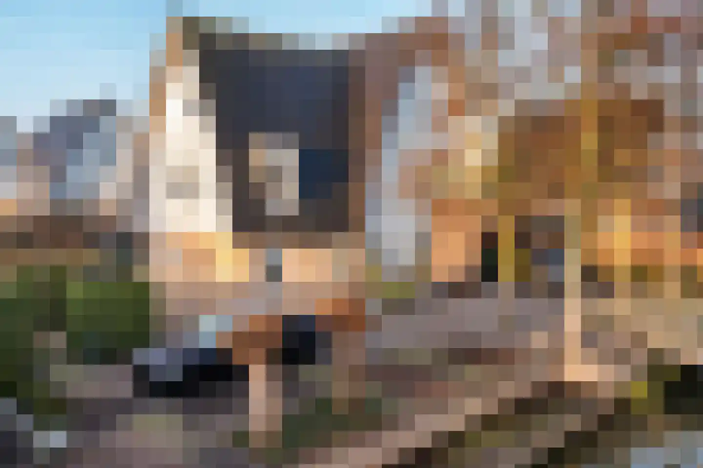 Perenlaantje 10 Hendrik-Ido-Ambacht thumbnail 7