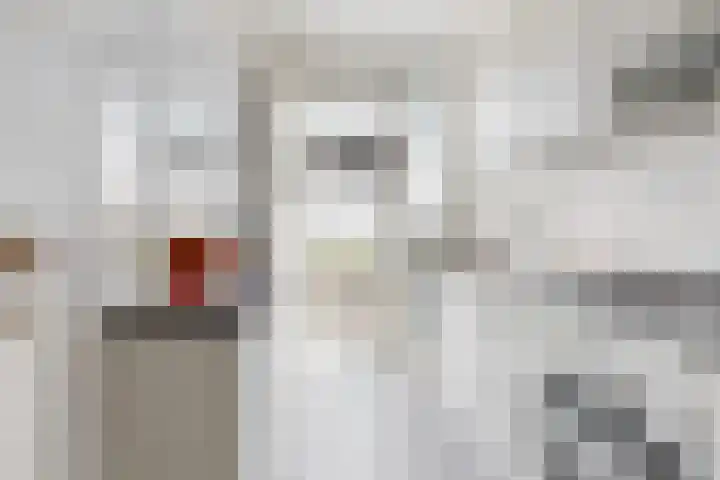 Perenstraat 12 Den Haag thumbnail 17