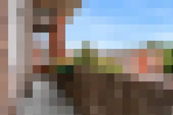 Perenstraat 12 Den Haag thumbnail 22