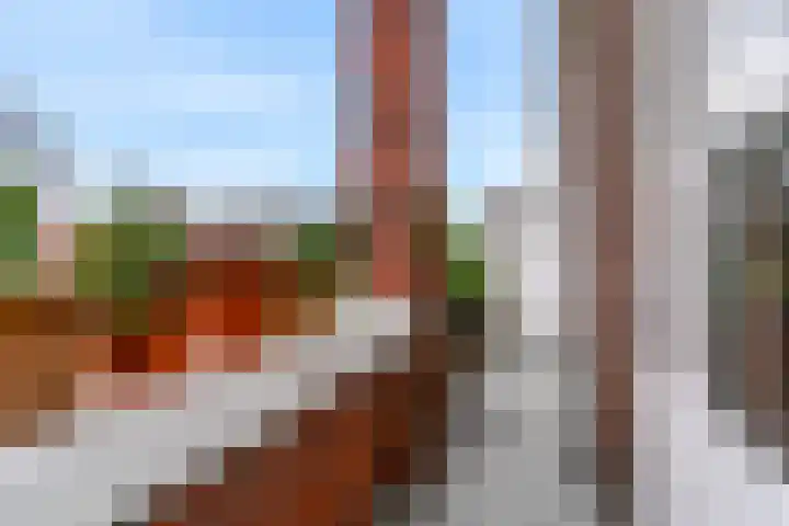 Perenstraat 12 Den Haag thumbnail 4